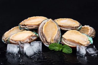 和治友德世界海洋日特辑 共同守卫蔚蓝，探索海洋生物活性物质的绿色未来