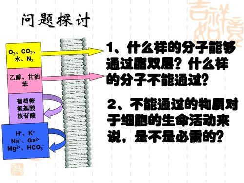 物质跨膜运输方式与生物合成技术的现代研发进展
