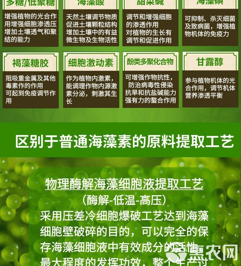 海藻肥“安丰乐” 深海力量的农业革命，强力生根壮苗防病害