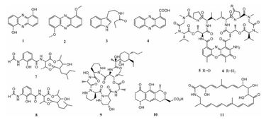 动物来源放线菌的次级代谢产物及其生物活性研究进展 纯化策略与挑战